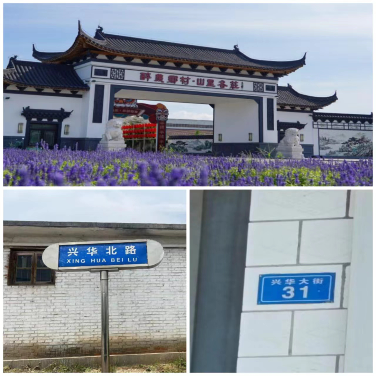 图片6.png