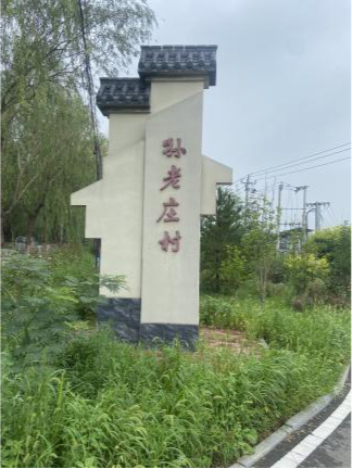 图片21.png